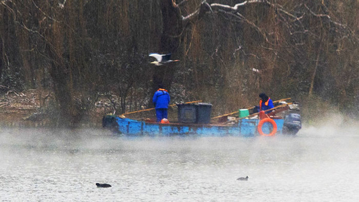 再现“云雾润蒸”胜景！冬日济南美成仙境 | 泉城周记·大片儿