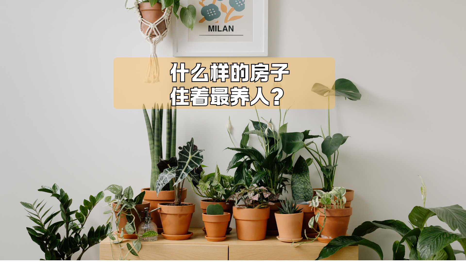 最养人的房子,长这样! 最养人的房子,长这样!