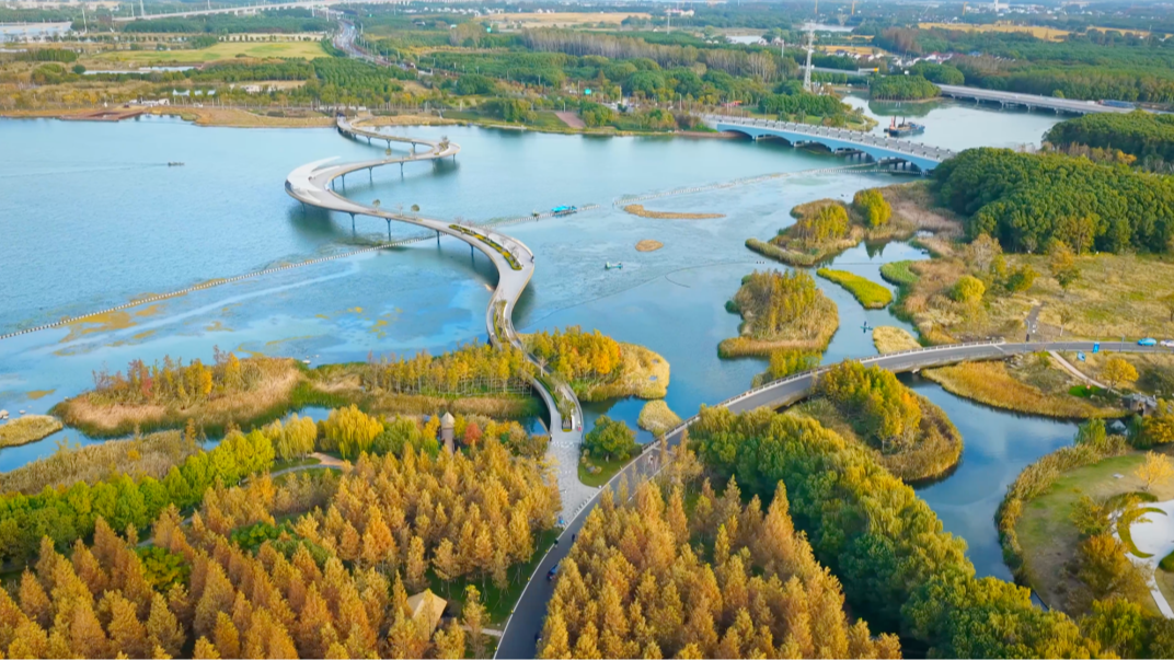 苏州元荡湖口断面水质首次“破Ⅲ”