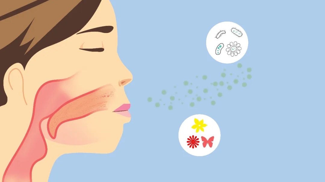 花粉季提前!预防花粉过敏,怎么用药效果好?| 科学用药护健康 花粉季提前!预防花粉过敏,怎么用药效果好?| 科学用药护健康