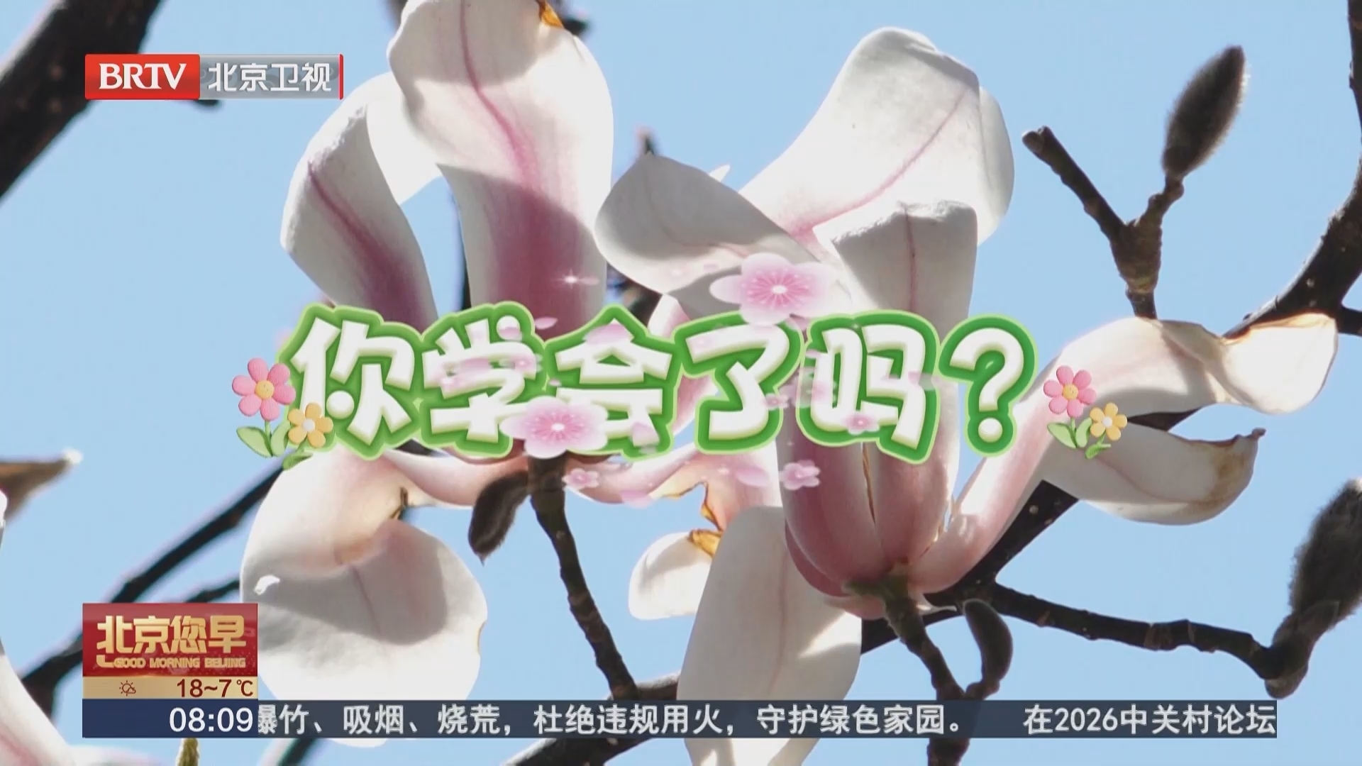 摄影师手把手教你“框”住春天