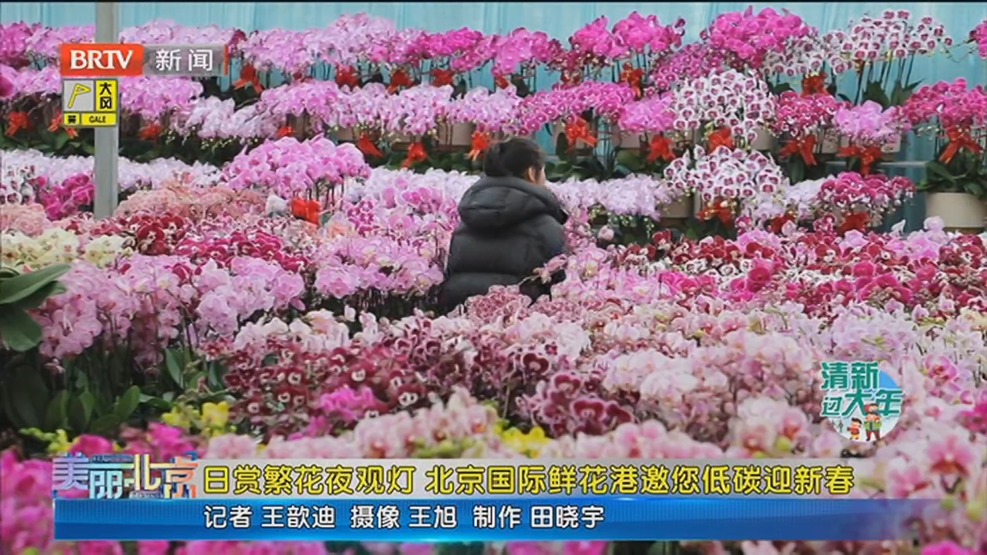 《美丽北京》20260220日赏繁花夜观灯 北京国际鲜花港邀您低碳迎新春