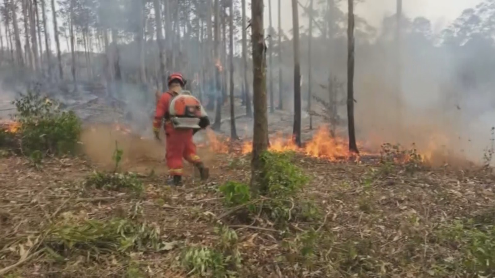 山林起火老人被困 森林消防展开营救 山林起火老人被困 森林消防展开营救