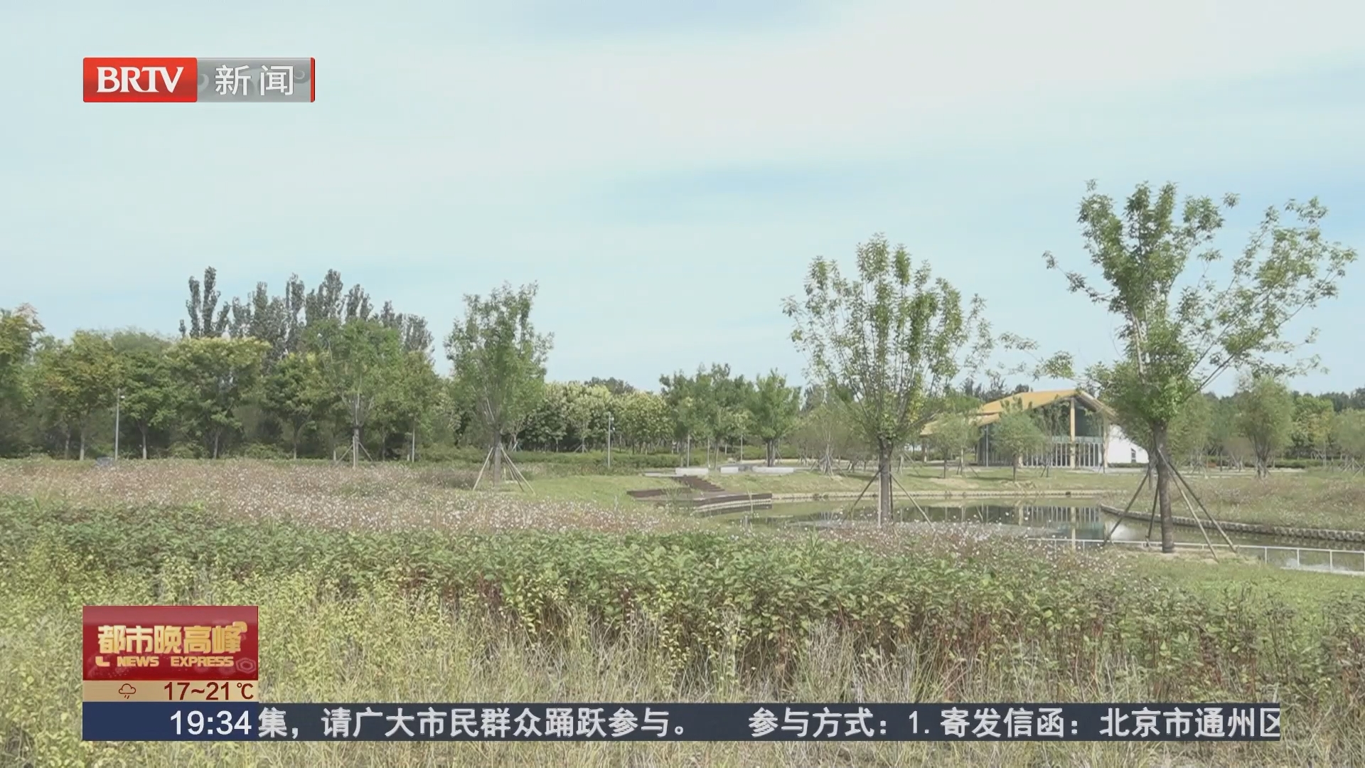 林荫绿道映碧水 解锁城市骑行新空间