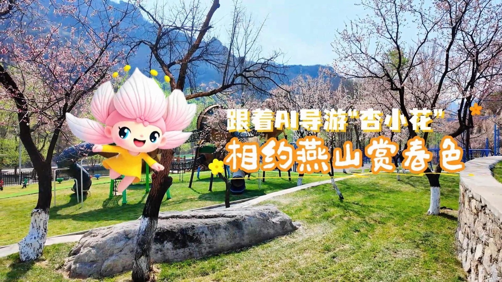 跟着AI导游“杏小花” 相约燕山赏春色