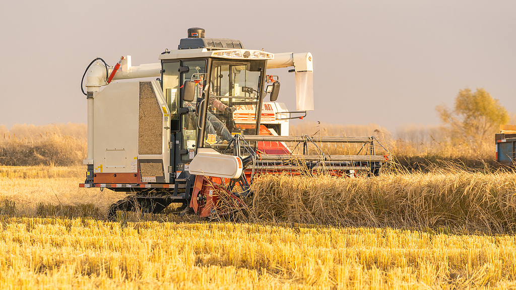 辟谣 | 所谓“中国三农”APP及其相关网址和相关组织人员,均与农业农村部无关 辟谣 | 所谓“中国三农”APP及其相关网址和相关组织人员,均与农业农村部无关