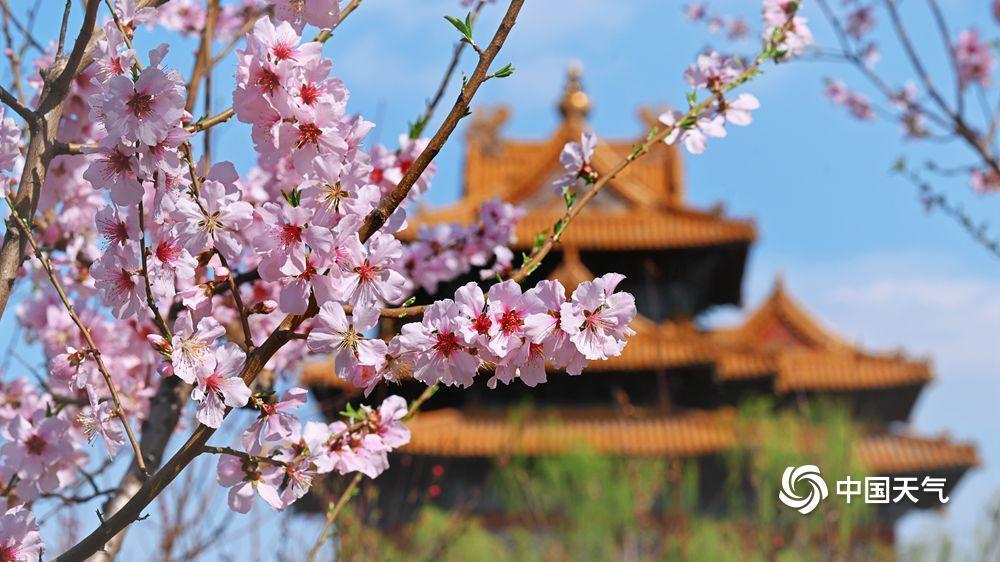 故宫角楼春日壁纸,上新了! 故宫角楼春日壁纸,上新了!