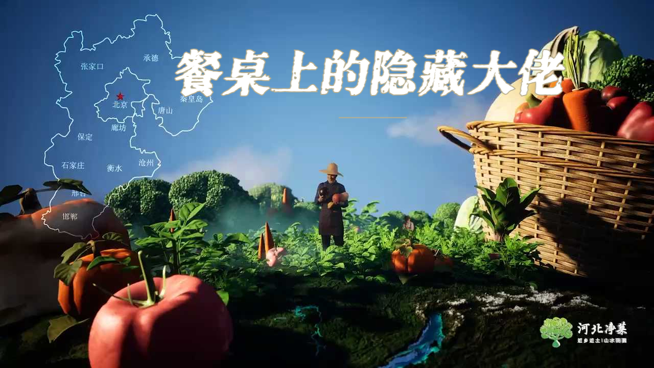 【河北净菜】官宣了！北京人餐桌上的“隐藏大佬”，原来是它！