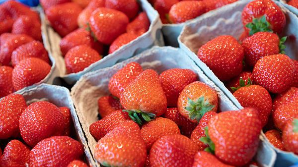吃草莓会引发流感？马蹄是“最脏水果”？辟谣来了