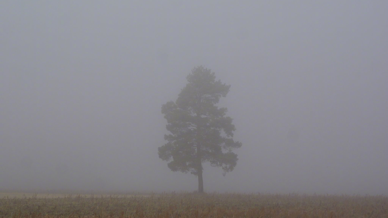 北京今天白天晴间多云,早晨至上午有雾,最高气温26℃ 北京今天白天晴间多云,早晨至上午有雾,最高气温26℃