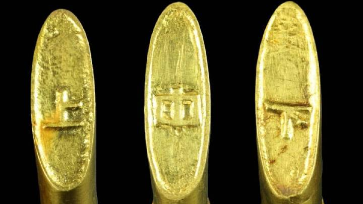 迎马年在通州看传说中的马蹄金 迎马年在通州看传说中的马蹄金