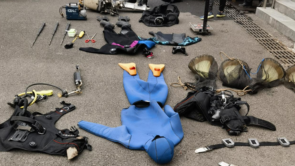 电捕网捕7600余斤被判刑两年 重庆警方公布10起非法捕捞案例 电捕网捕7600余斤被判刑两年 重庆警方公布10起非法捕捞案例