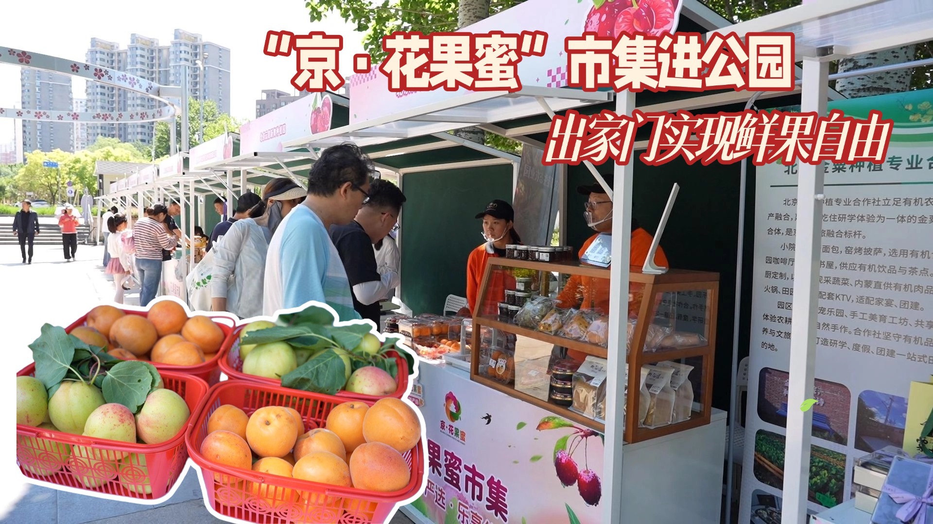 “京·花果蜜”市集进公园 出家门实现鲜果自由