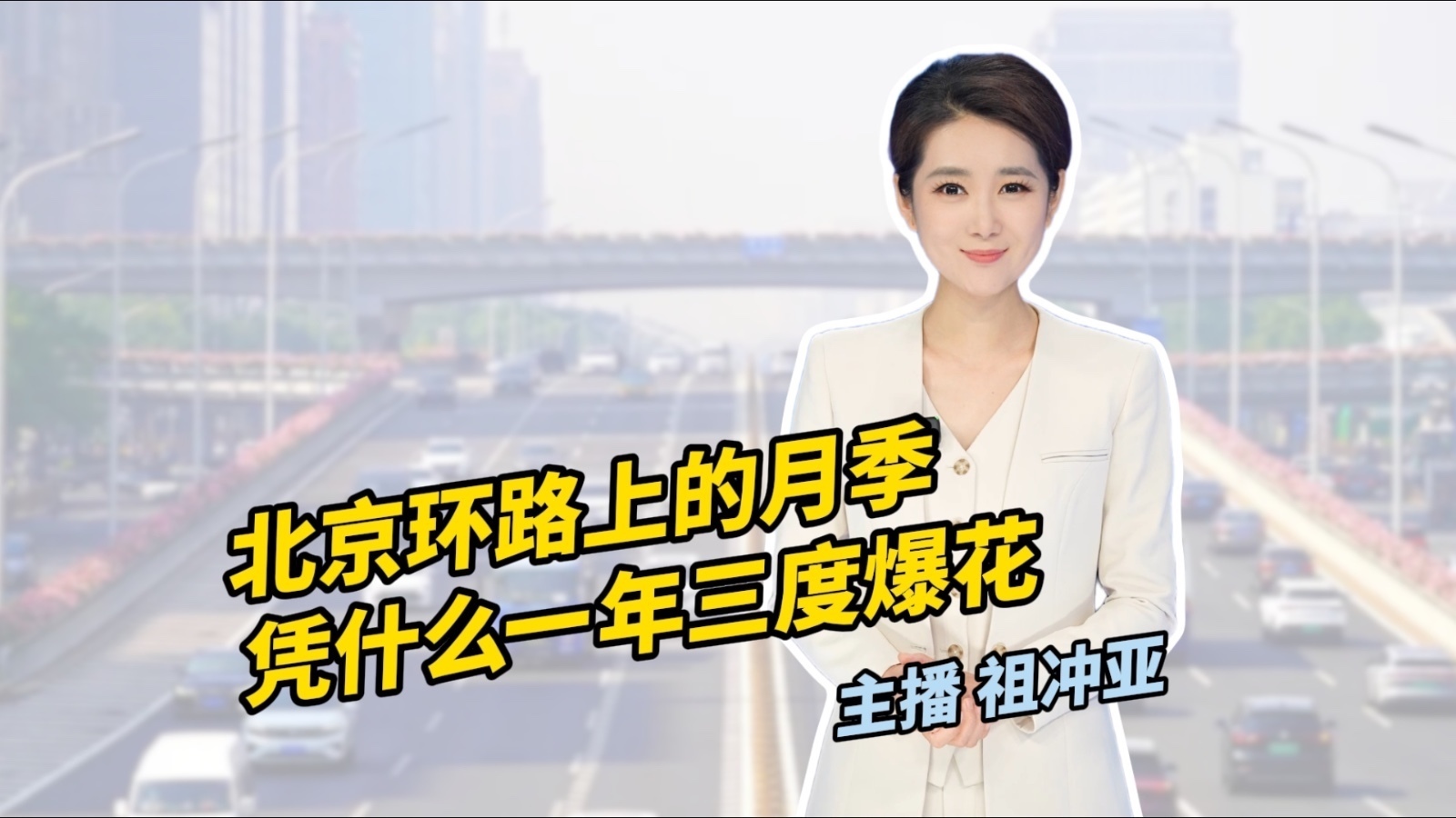 京锐评｜北京环路上的月季，凭什么一年三度爆花？