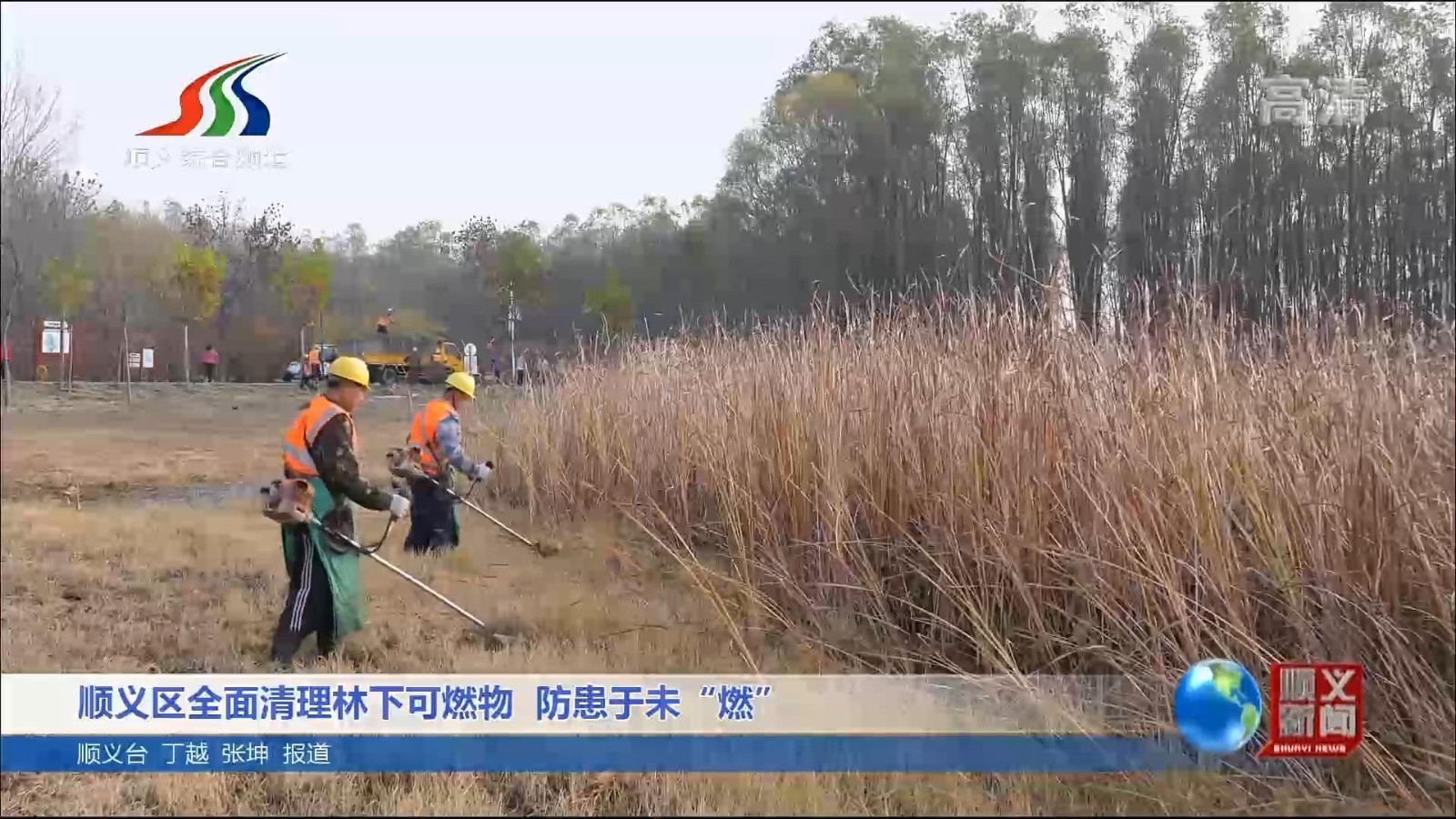 顺义区全面清理林下可燃物 防患于未“燃”