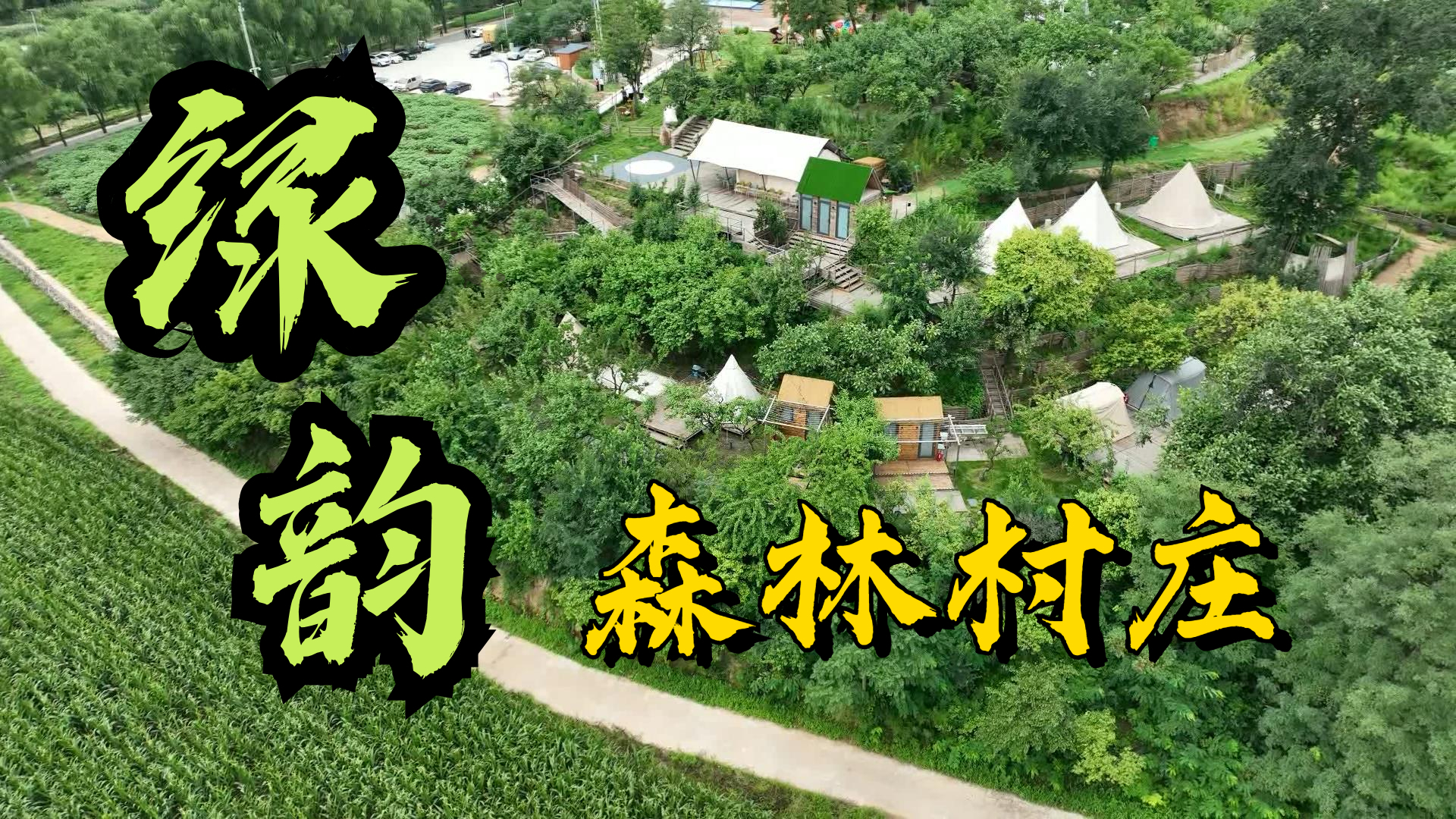 森林村庄“染”上浓浓的“绿韵”村容村貌焕新~_北京时间