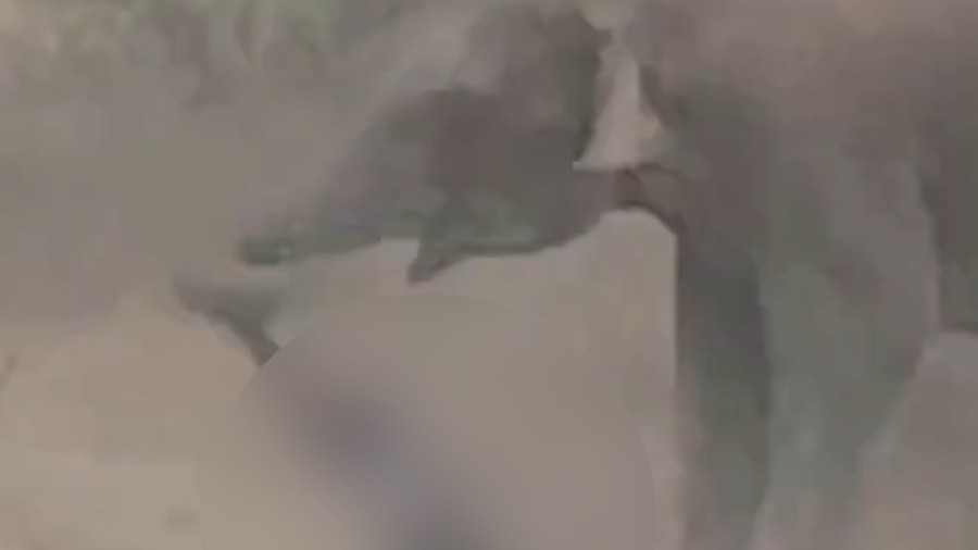 印度男子自拍遭野象踩踏身亡