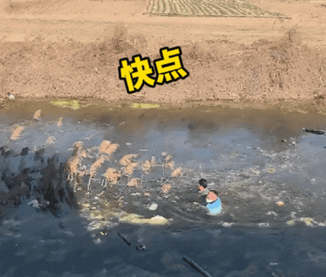 这种冰面千万别踩！一旦落水这样自救→