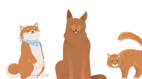 预防狂犬病，避开这三个常见误区 | 科普时间