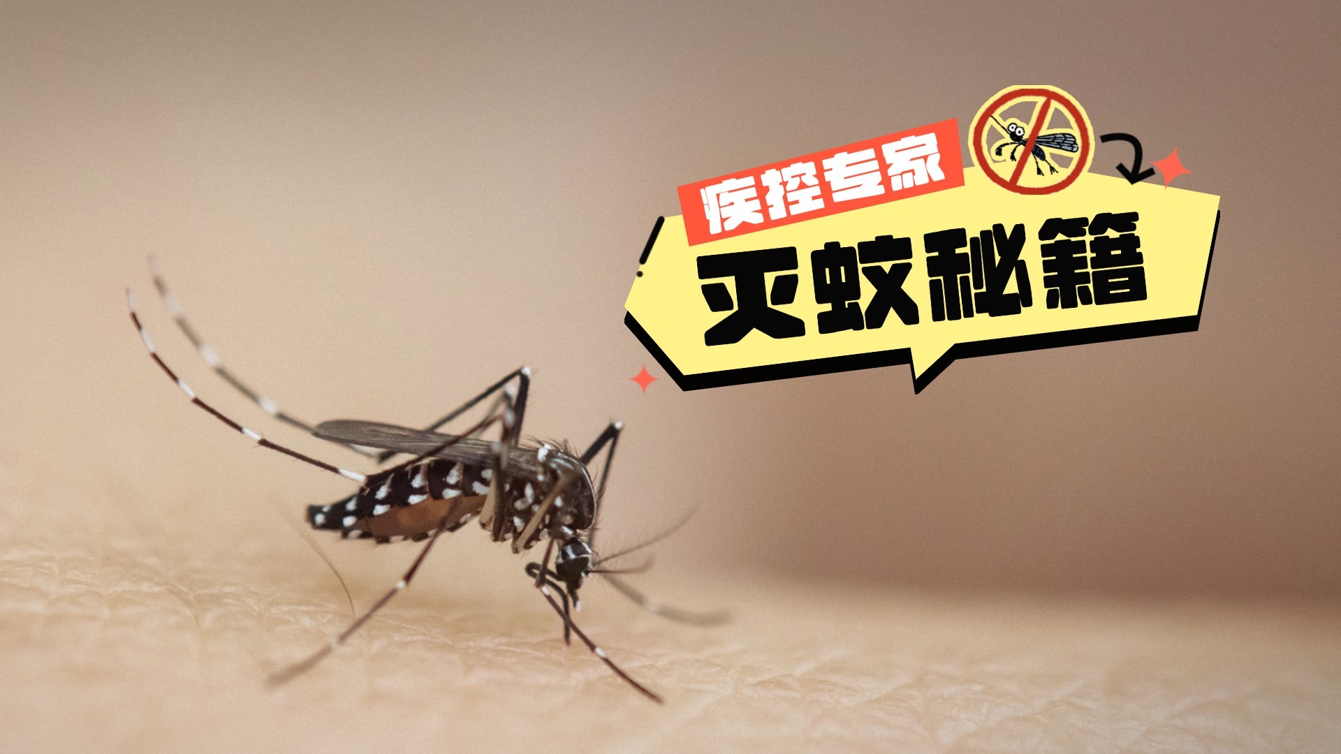 基孔肯雅热对北京市民有什么影响？