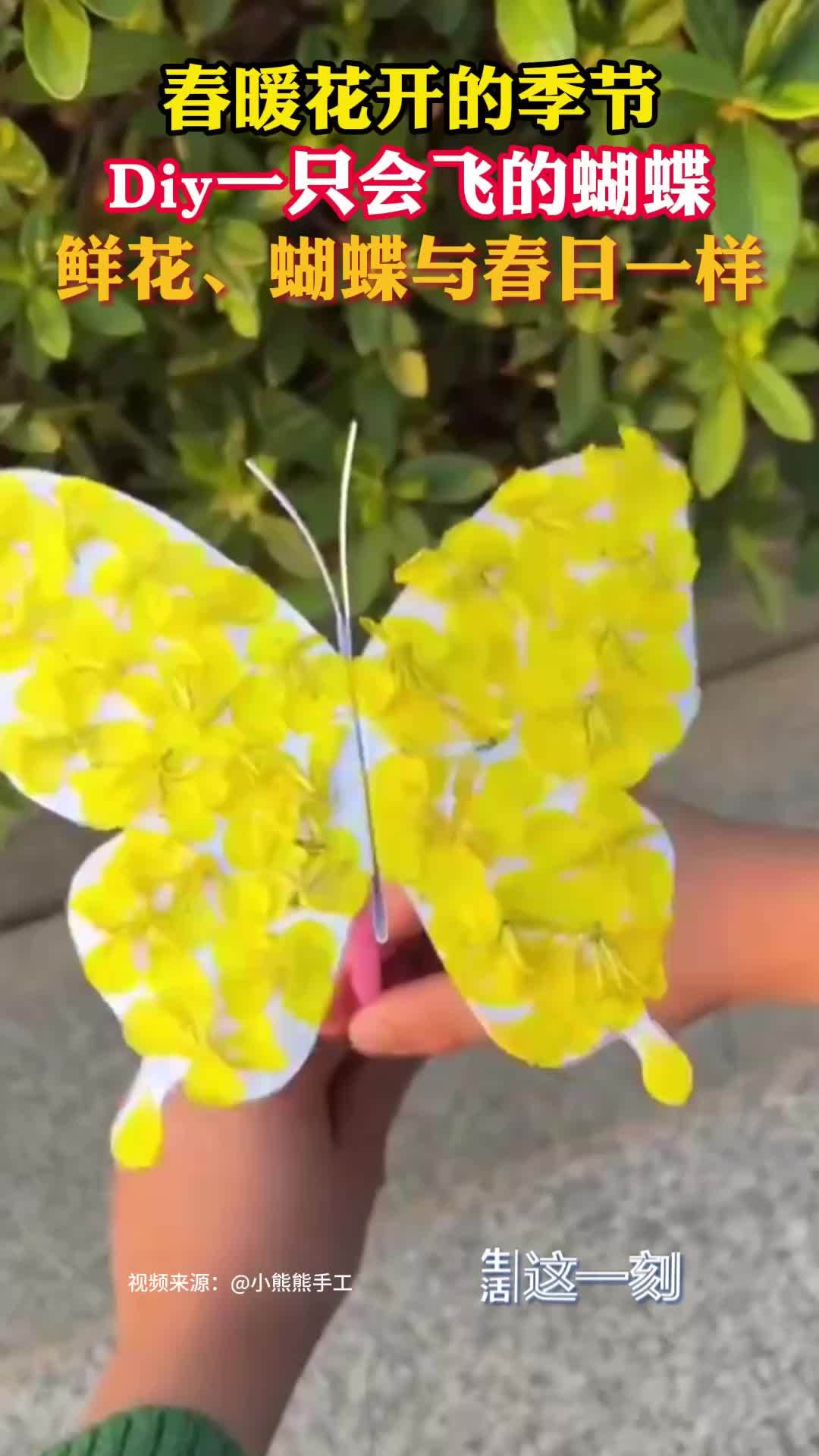 春日蝴蝶diy 花和蝴蝶更配哦！