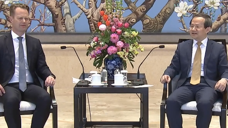 殷勇会见丹麦企业家代表团