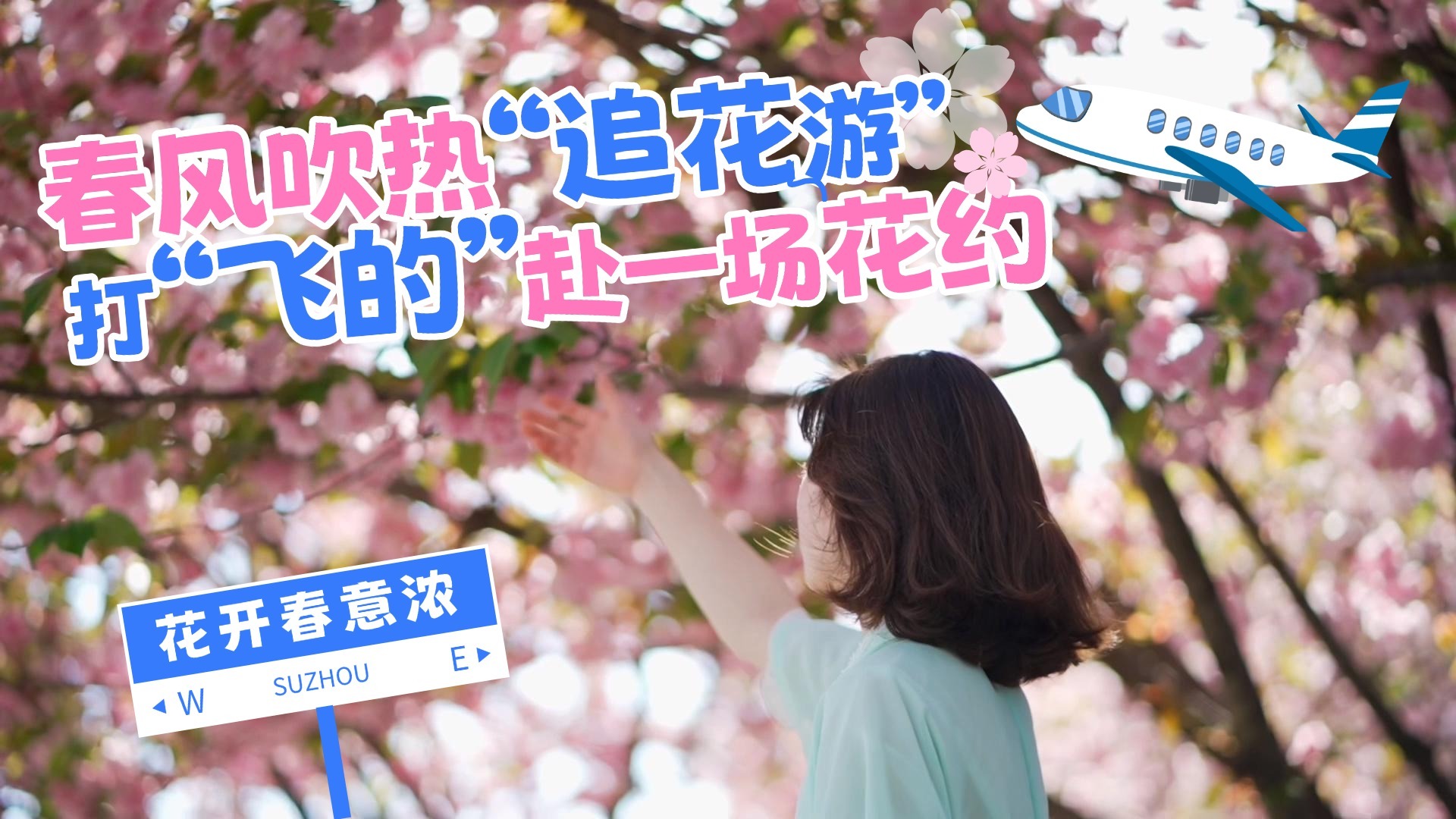春风吹热“追花游” 打“飞的”赴一场花约 春风吹热“追花游” 打“飞的”赴一场花约