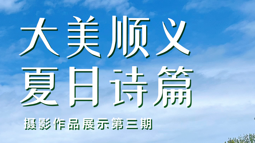 作品展示丨速戳!“大美顺义·夏日诗篇”摄影作品展示第三期来了→ 作品展示丨速戳!“大美顺义·夏日诗篇”摄影作品展示第三期来了→