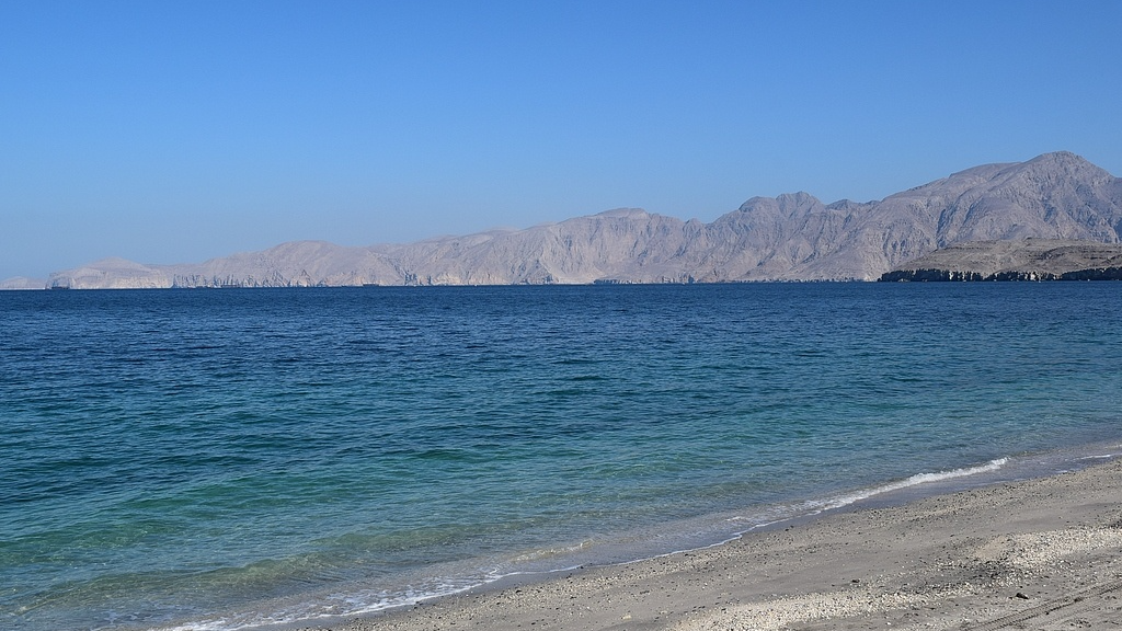 国际海事组织：霍尔木兹海峡船只遭袭造成海员4死3重伤