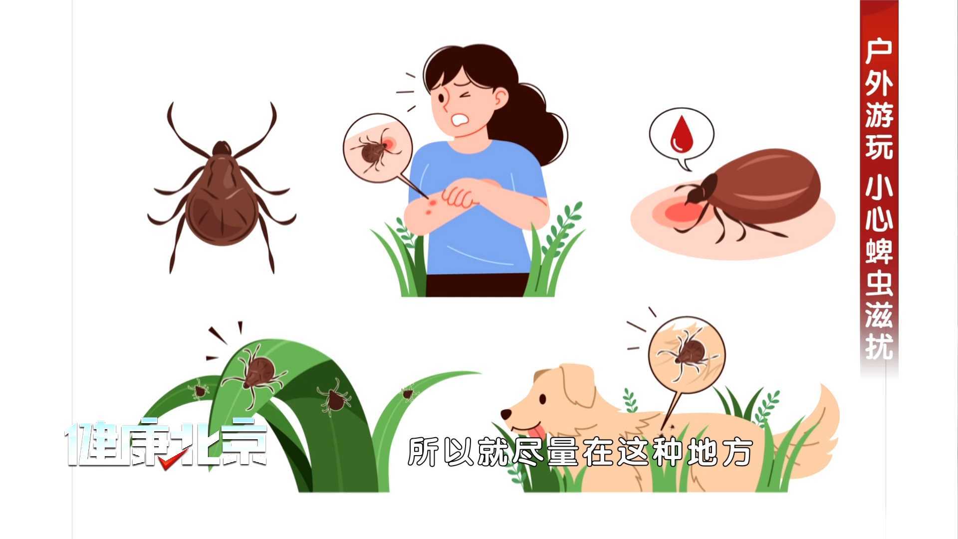 蜱虫最爱藏在哪？发现后怎么办？医生教您正确处理方法！