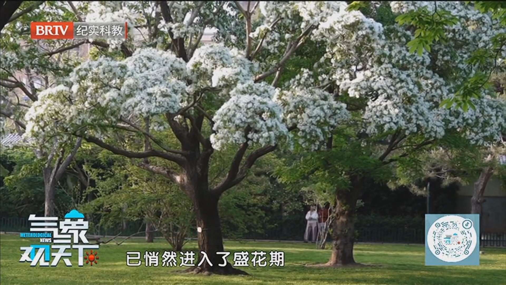 《气象观天下》20260509美景拾遗 尽享休闲之美