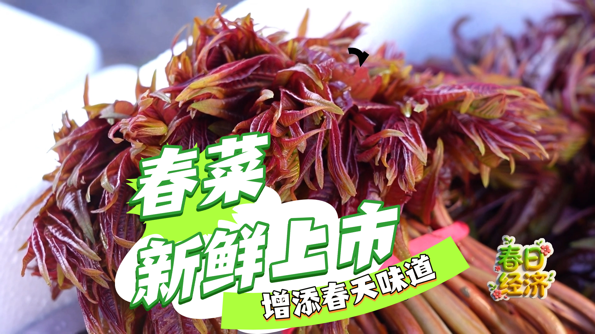 【春日经济】春菜新鲜上市 增添春天味道 【春日经济】春菜新鲜上市 增添春天味道