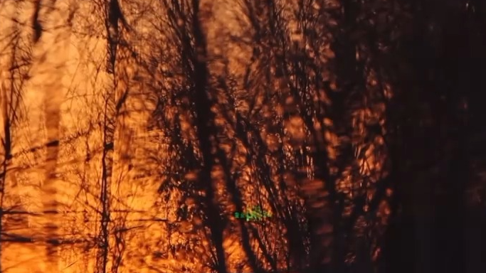 年龄并非免责金牌！法官介绍河北初中生杀害同学案审理细节