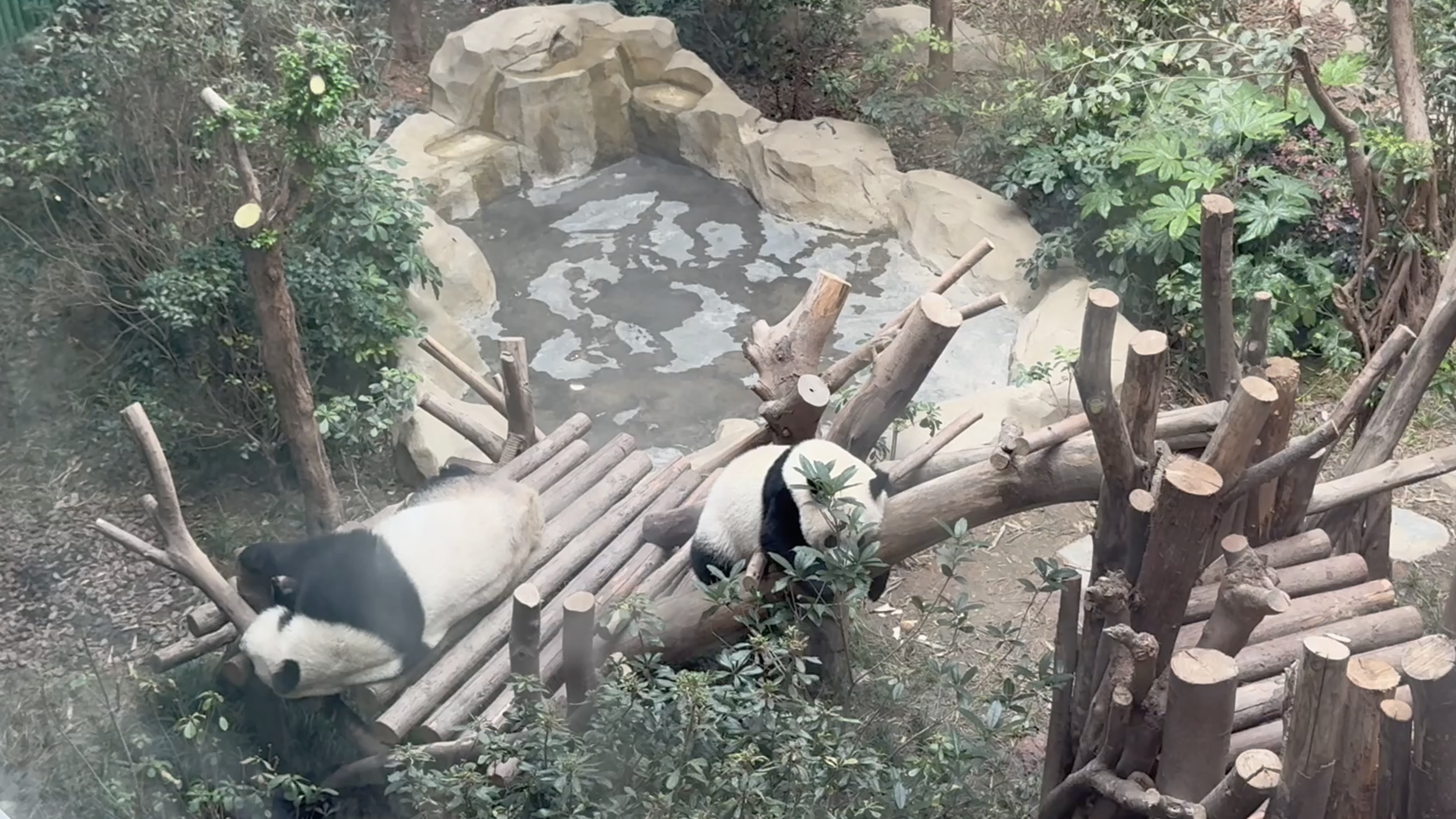 2025华星小记者作品展播: 巴基斯坦华文教育协会记者站 马诗语 2025华星小记者作品展播: 巴基斯坦华文教育协会记者站 马诗语