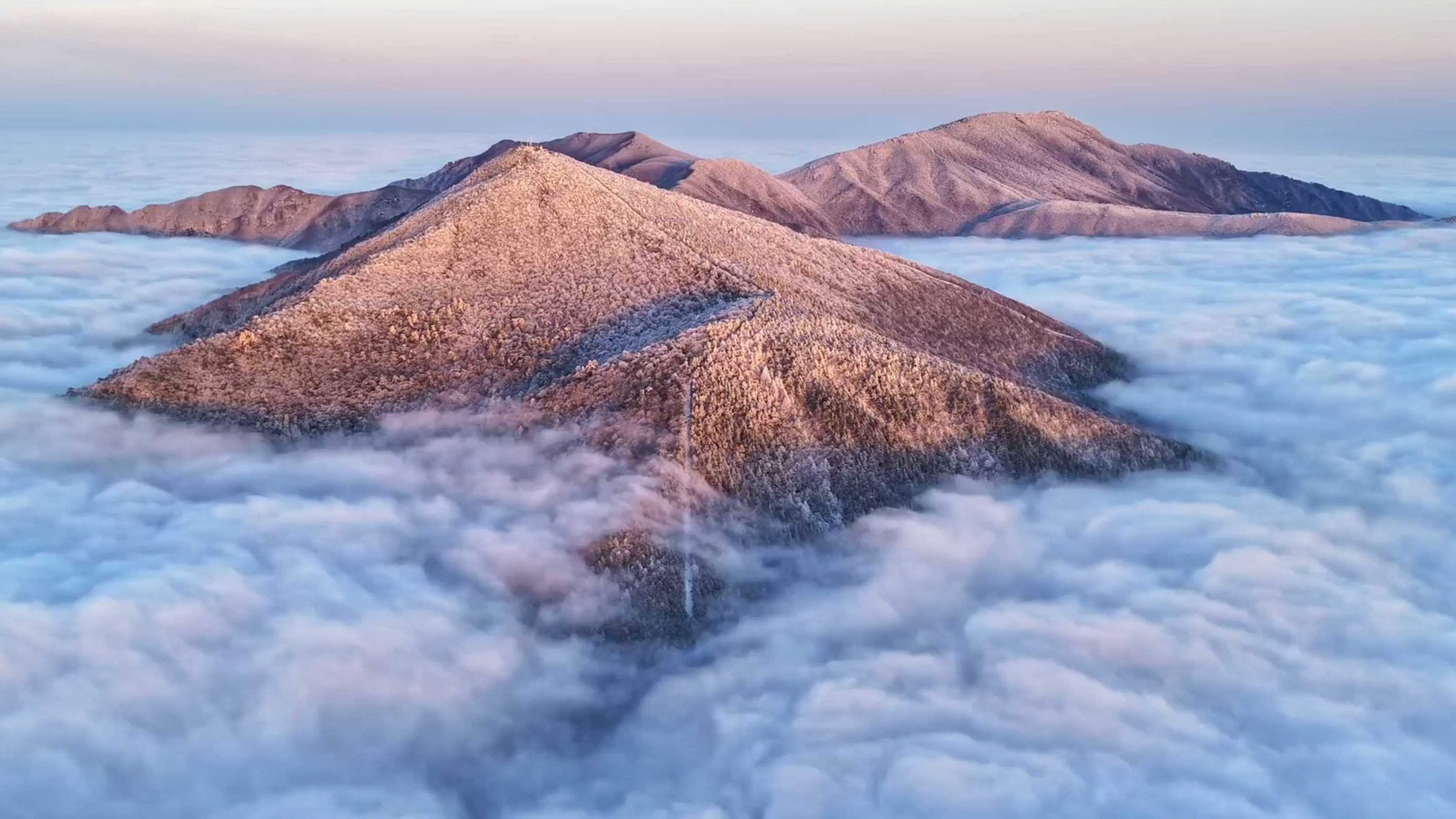 宛如仙境！雪后的杭州天目山云海翻腾