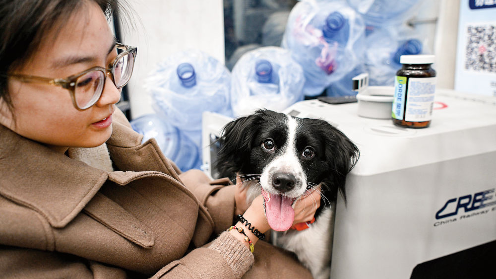 携宠旅行潮起,千亿宠游市场如何驶向新蓝海? 携宠旅行潮起,千亿宠游市场如何驶向新蓝海?