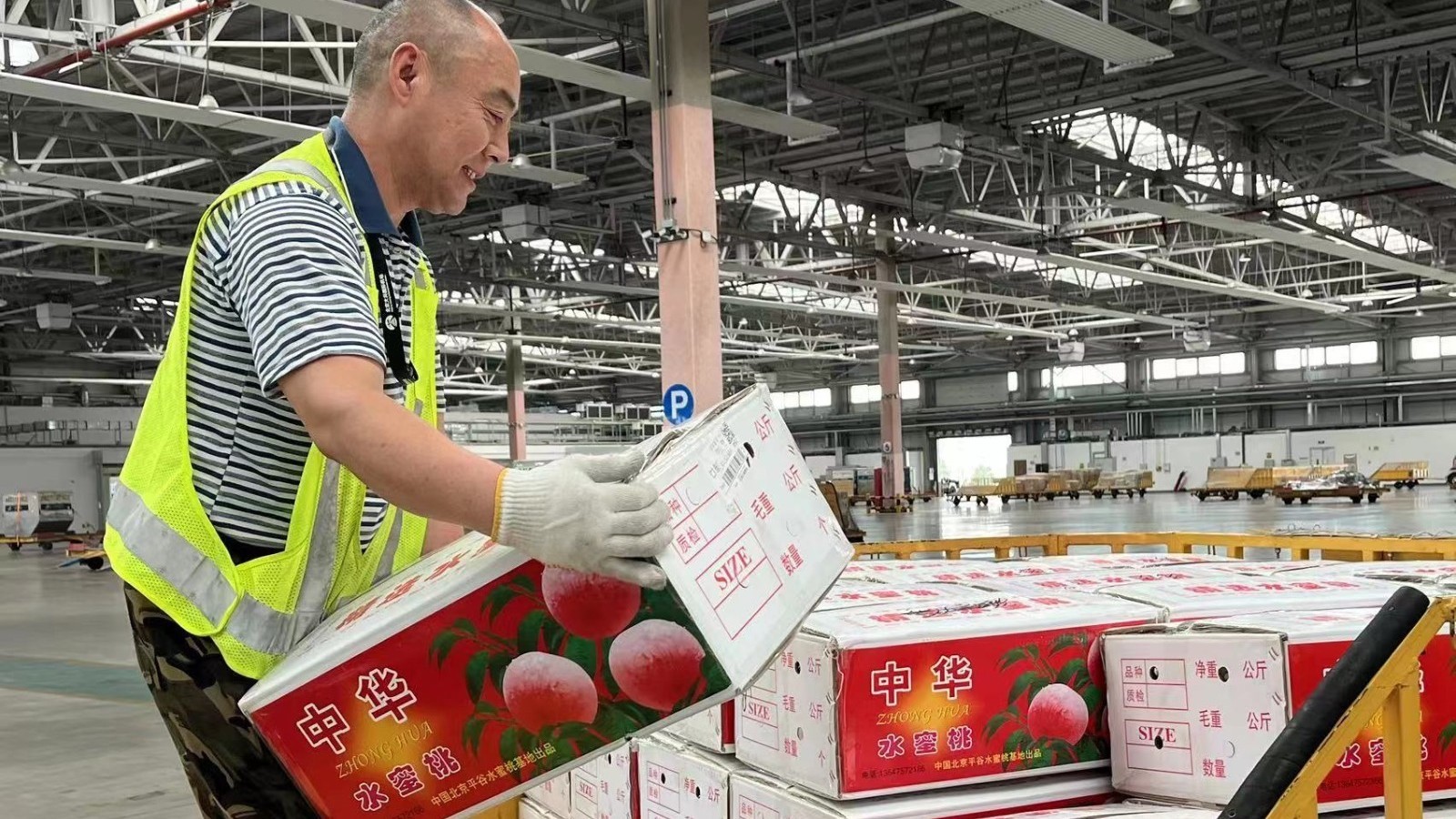 平谷大桃全面上市 航空物流为桃农定制“甜蜜之旅” 平谷大桃全面上市 航空物流为桃农定制“甜蜜之旅”