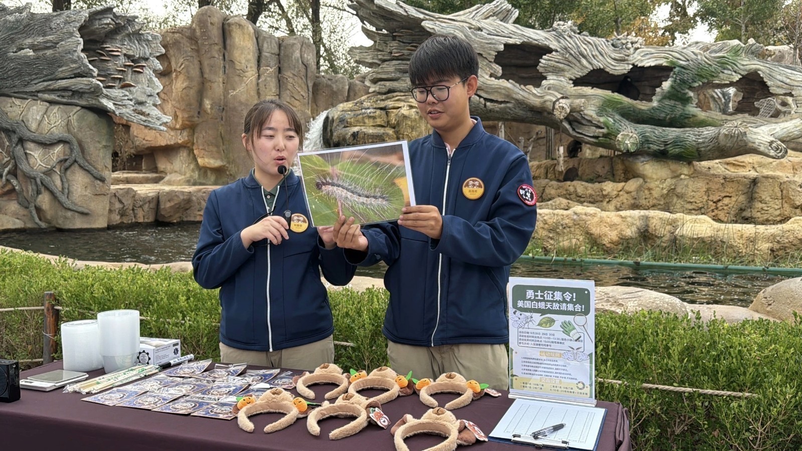 拿起工具去抓虫!北京野生动物园“抓毛毛虫大赛”延至国庆假期 拿起工具去抓虫!北京野生动物园“抓毛毛虫大赛”延至国庆假期