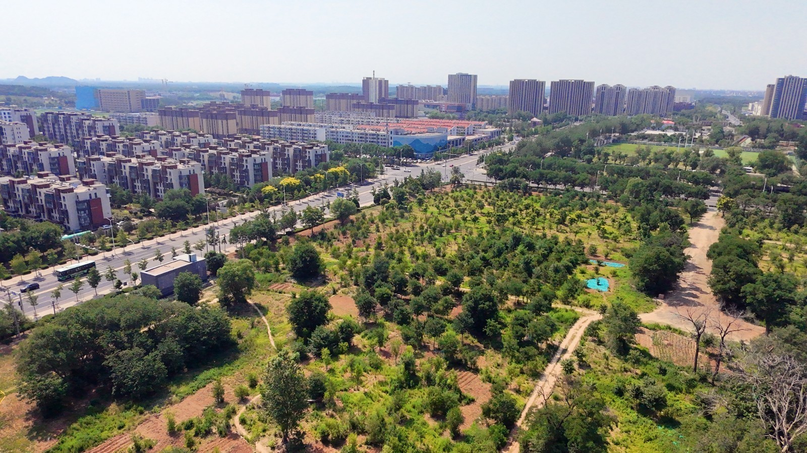 绿色链接生态生活空间 南邵镇因绿而美 绿色链接生态生活空间 南邵镇因绿而美