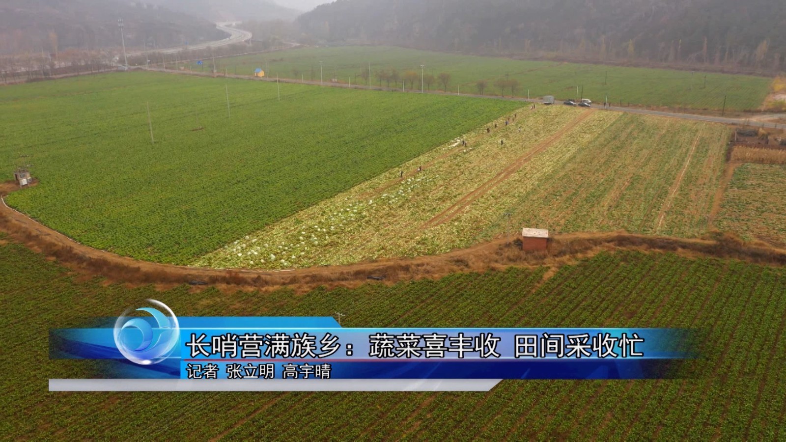 怀柔区长哨营满族乡：蔬菜喜丰收 田间采收忙