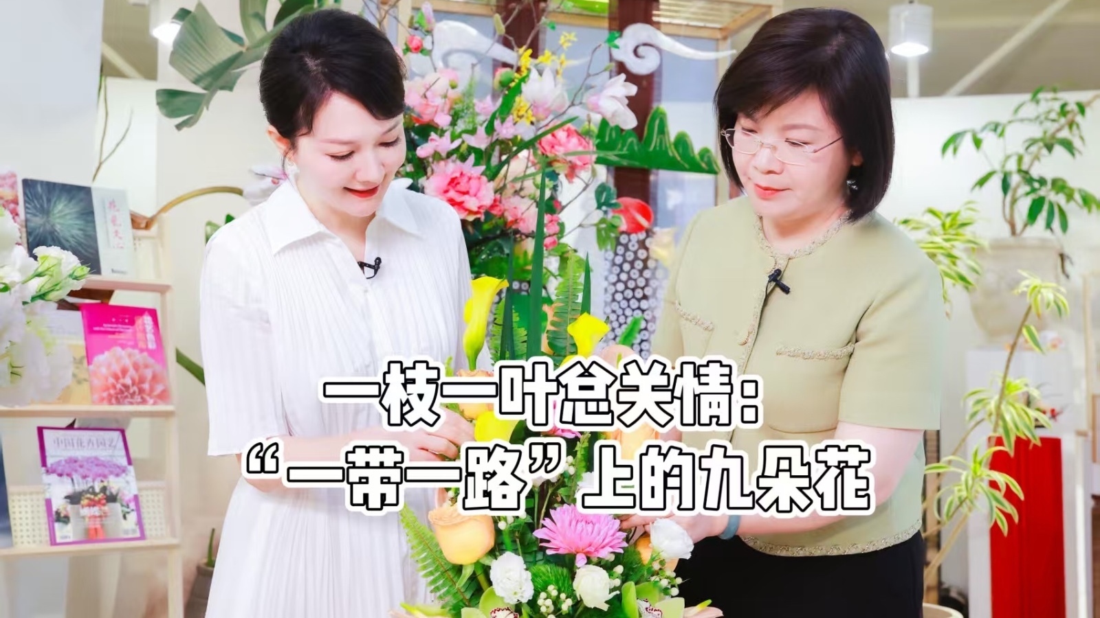 一枝一叶总关情：“一带一路”上的九朵花