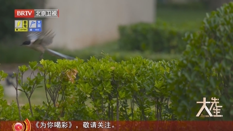 《大先生》20250909赤心铸器 高能报国