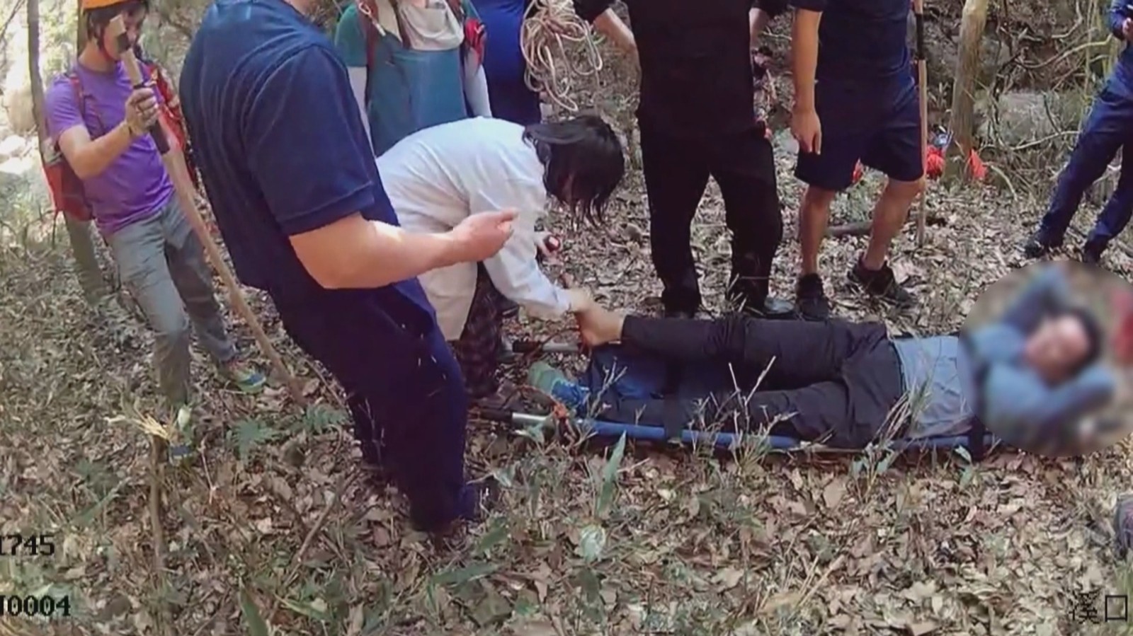 登山遭遇毒蛇袭击 多方合力生死救援 登山遭遇毒蛇袭击 多方合力生死救援