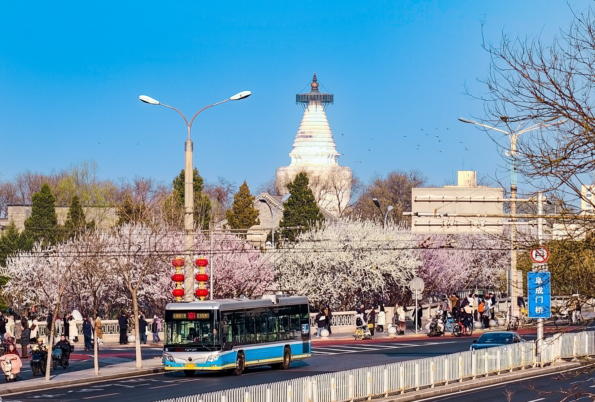 桃花映白塔,这里赏春绝美 桃花映白塔,这里赏春绝美