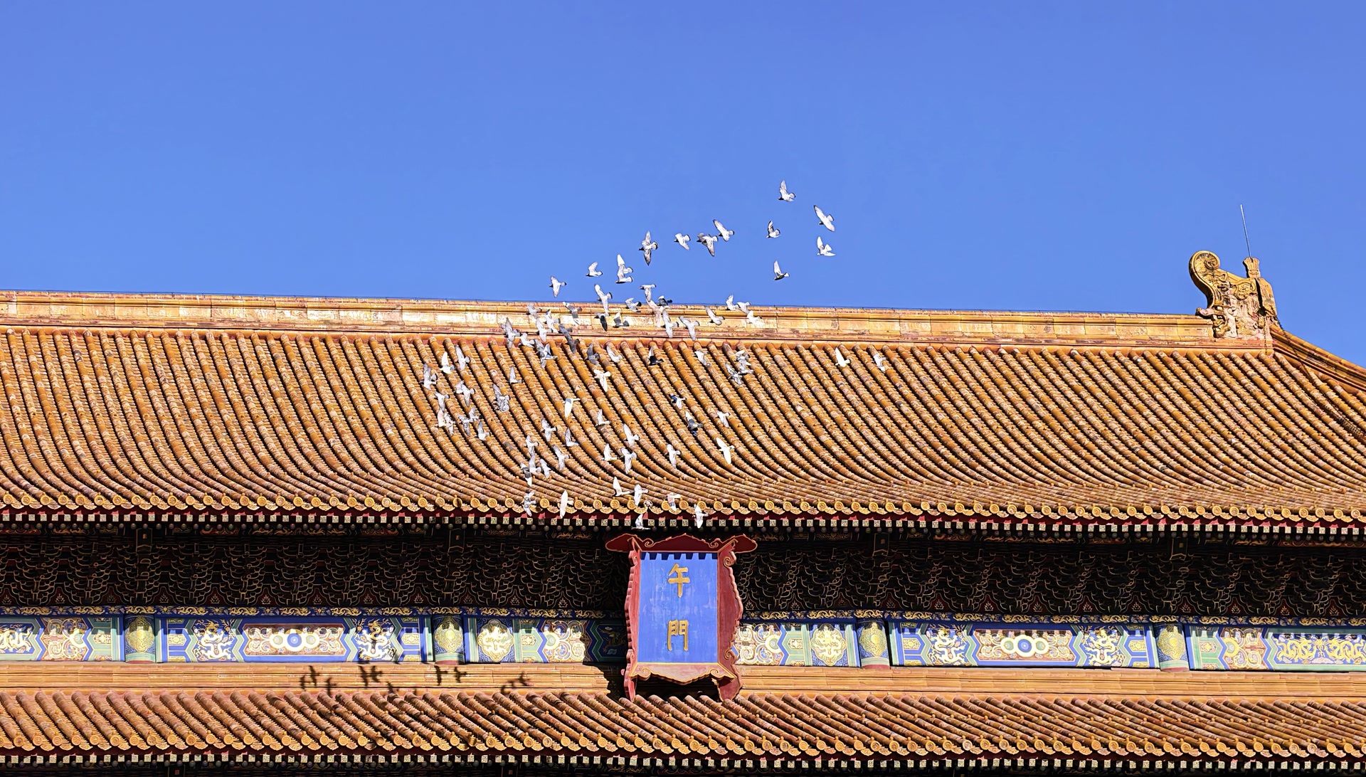 寒风劲,故宫韵致悠长 寒风劲,故宫韵致悠长