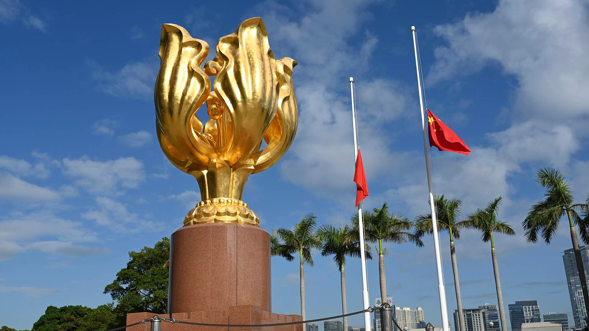 中央港澳办协调中央有关部门和广东省继续为香港救灾工作提供协助和支援