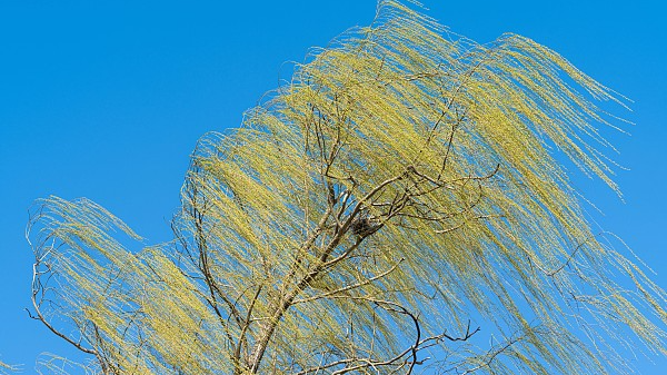 暴雨来了!南方大范围降雨将再上线 京津冀等地有扬沙 暴雨来了!南方大范围降雨将再上线 京津冀等地有扬沙
