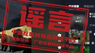 “大黑熊出现在漓江边”视频系AI编造 “大黑熊出现在漓江边”视频系AI编造