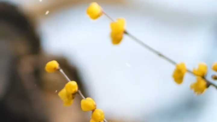 周五最高气温再次跌至0℃上下 下周气温回升