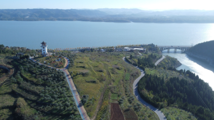南水北调移民故事：渔民成了护水员，荒山上建起橄榄园